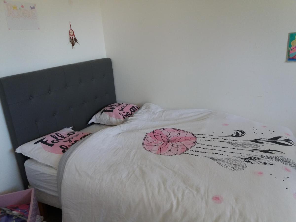 Chambres, Cuisine, Piscine, Spa, Billards, Airhockey, Nature Fillinges 外观 照片